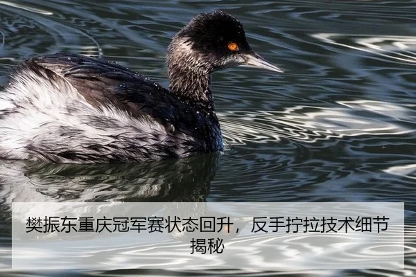 fan-zhen-dong-chong-qing-guan-jun-sai-zhuang-tai-hui-sheng-fan-shou-ning-la-ji-shu-xi-jie-jie-mi-3-773.jpg